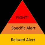 A pyramid showing how to respond