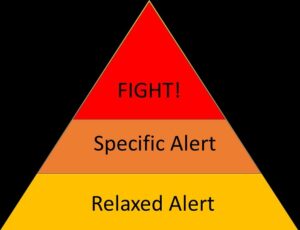 A pyramid showing how to respond