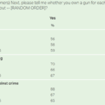 Information about different guns