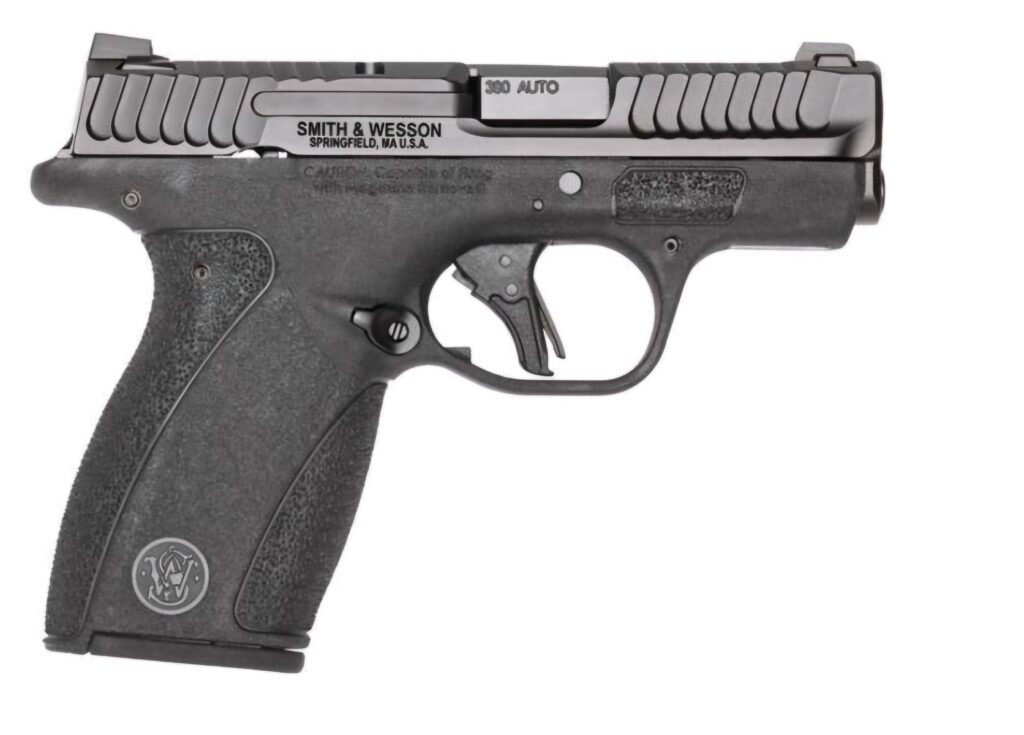 On The Hunt: For A New Bodyguard - Boondocks Firearms Training Academy™